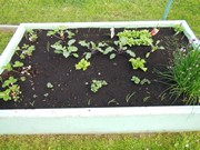 Zahradničíme ve školce